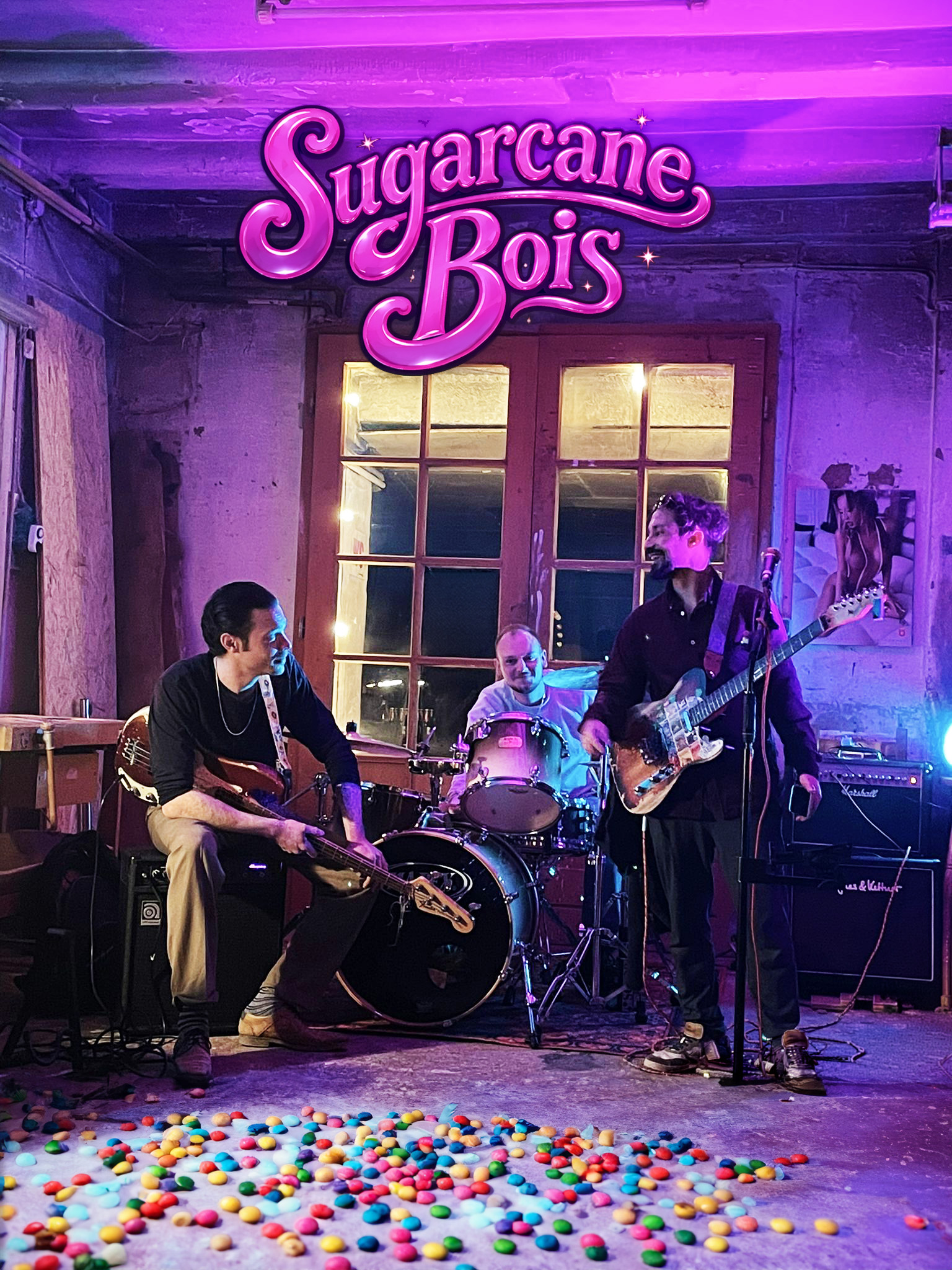 „Sugarcane Bois“ – PflanzenEck bei Nacht